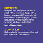 Blueberry Millet Pancake Mix × 2
