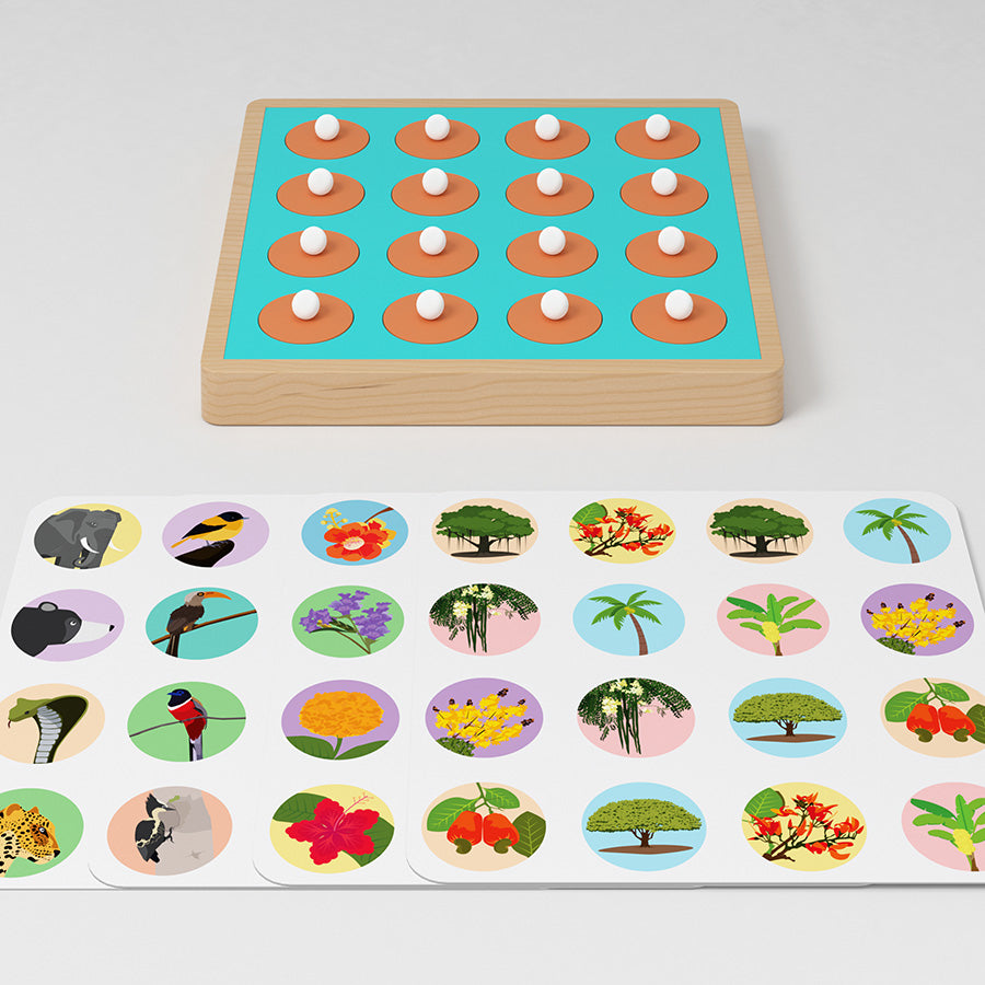Turn and Learn - Memory Game - Flora and Fauna