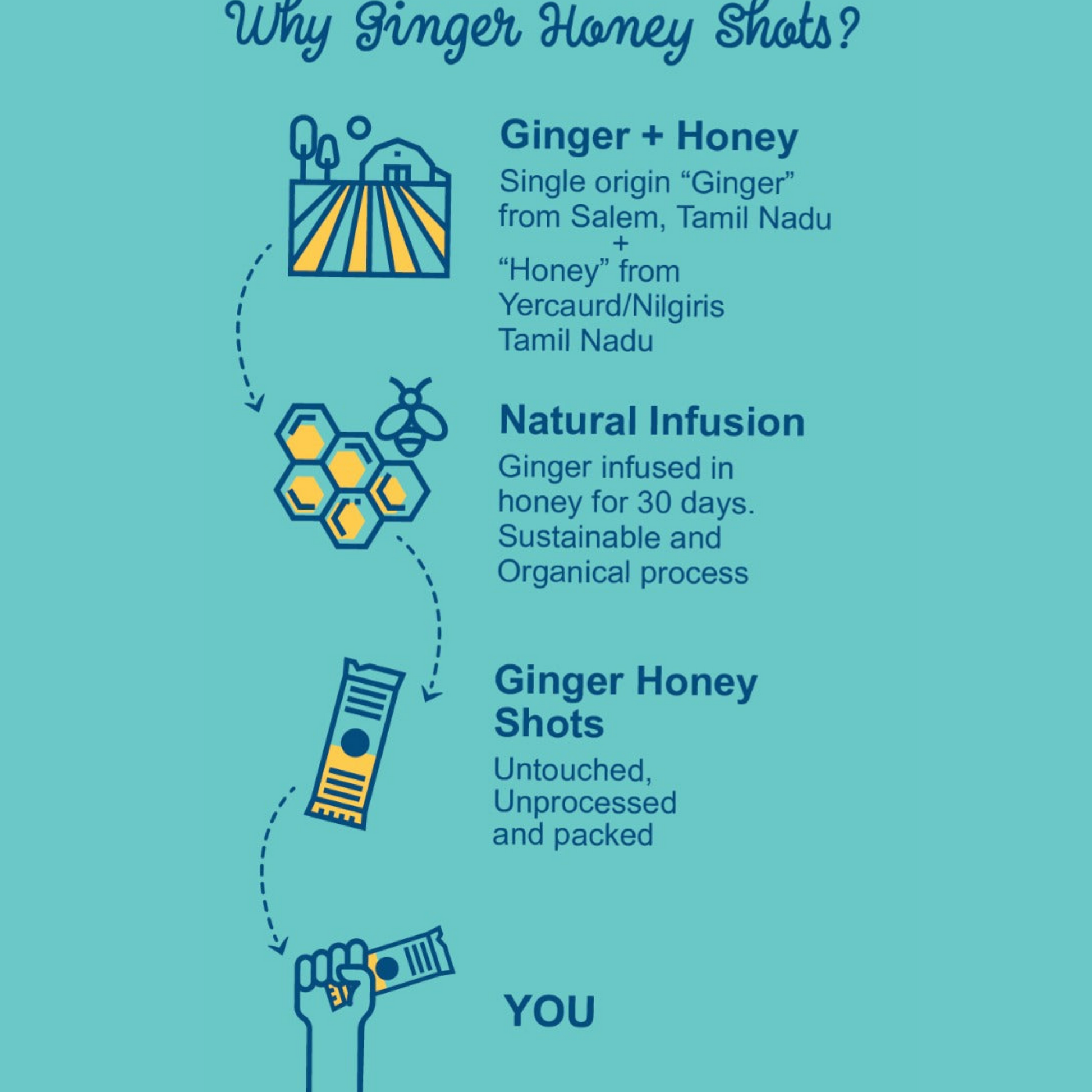 Ginger Honey Shots | 36 pack | (360 gm) | Pure Honey (Single Serving honey Sachets)