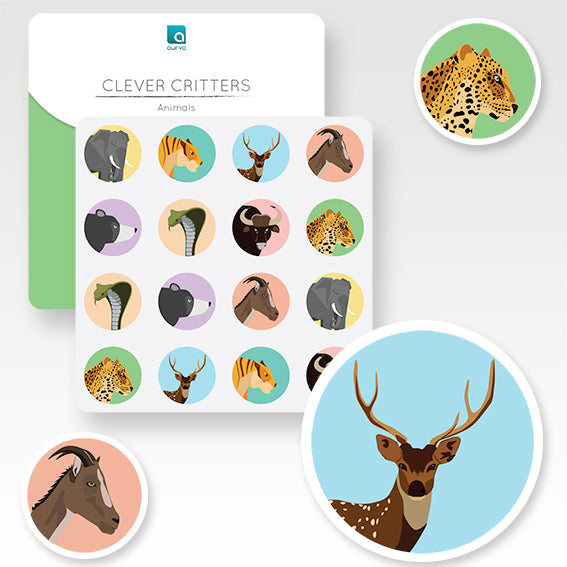 Turn and Learn - Memory Game - Flora and Fauna