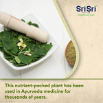 Moringa Powder, 100 g