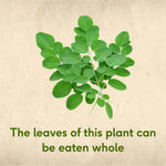 Moringa Powder, 100 g