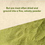 Moringa Powder, 100 g