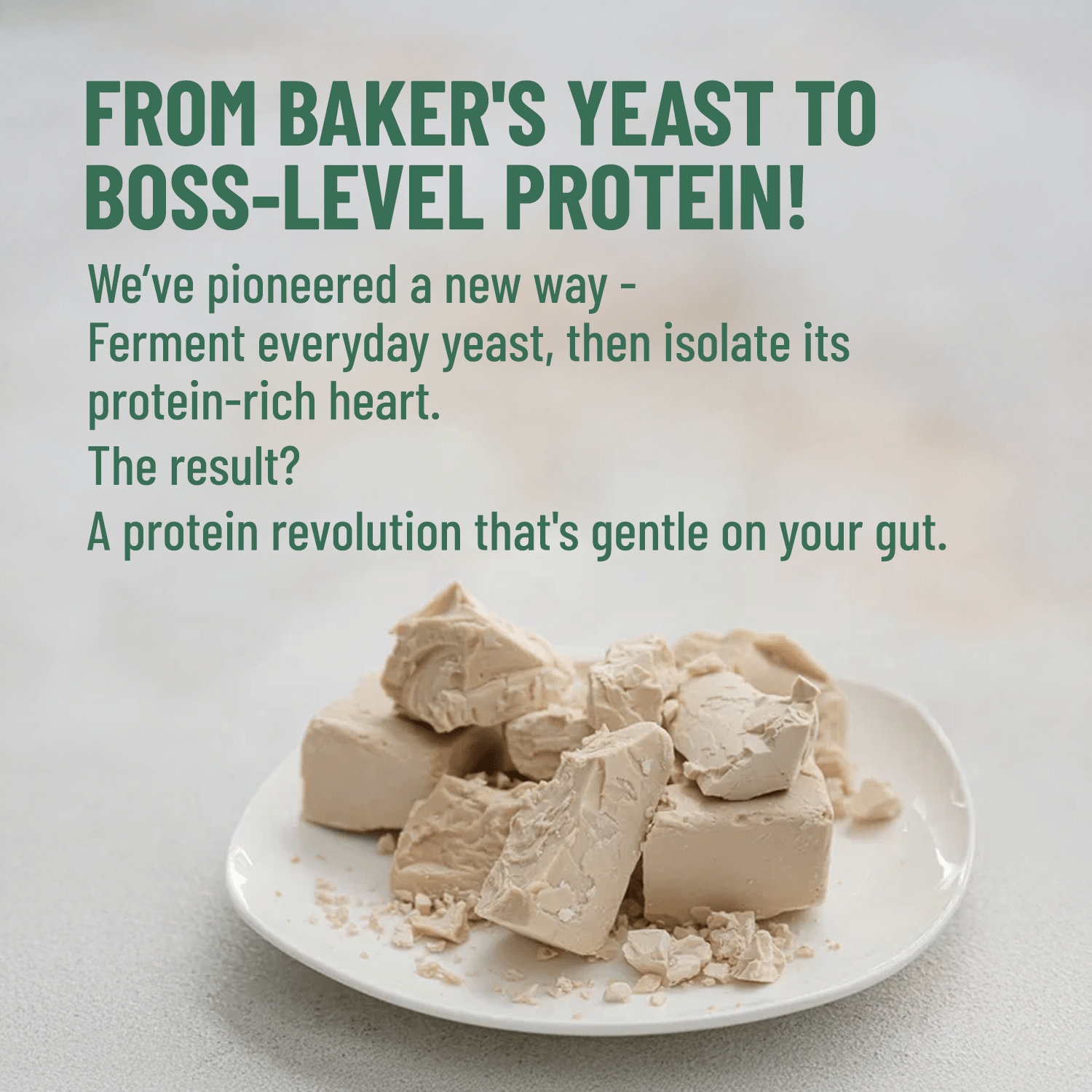 Mille Plant Protein | 25g/Scoop | Coffee Hazelnut | Fermented Yeast Protein | No Bloat I Vegan  | 500g
