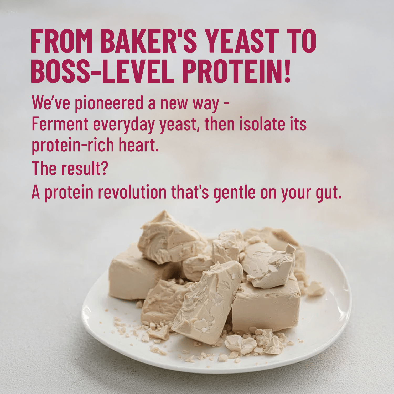 Mille Plant Protein | 31g/Scoop | Unflavoured | Fermented Yeast Protein | No Bloat I Vegan  | 500g