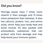 Organic Moringa Powder-Boosts Immune System