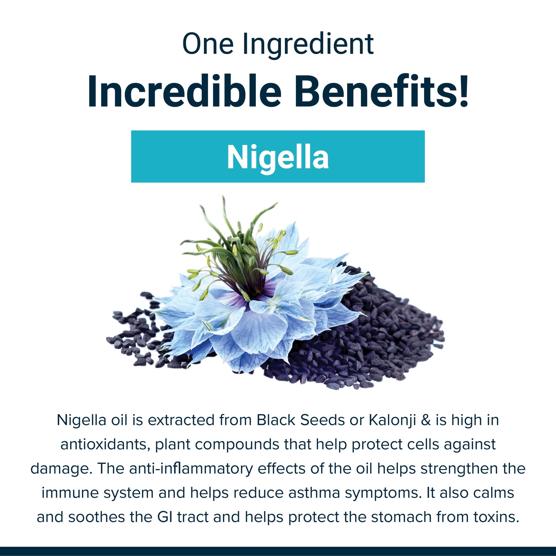 SupaSupp Nigella Oil Immuno Protector | Builds Immunity And Strength, Promotes Healthy Cell Growth And Overall Wellbeing | Health Supplement | 60 Veg Cap, 500 mg