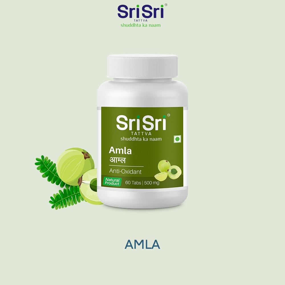 Amla - Anti Oxidant, 60 Tabs | 500 mg