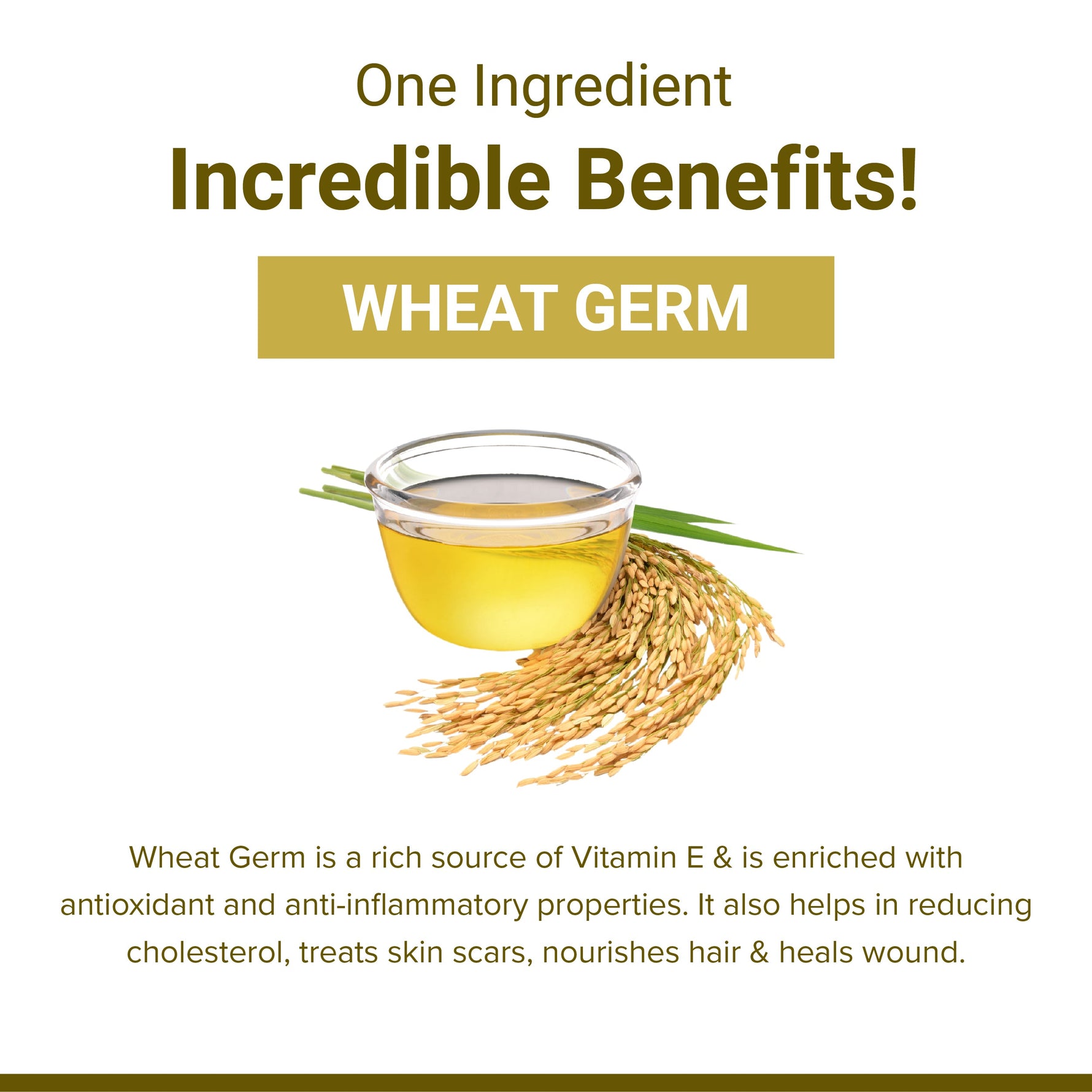 SupaSupp Wheat Germ Oil Vit - E | Enhances Cellular Regeneration, Better Systemic Maintenance |  Vitamin E | Health Supplement | 60 Veg Cap, 500 mg