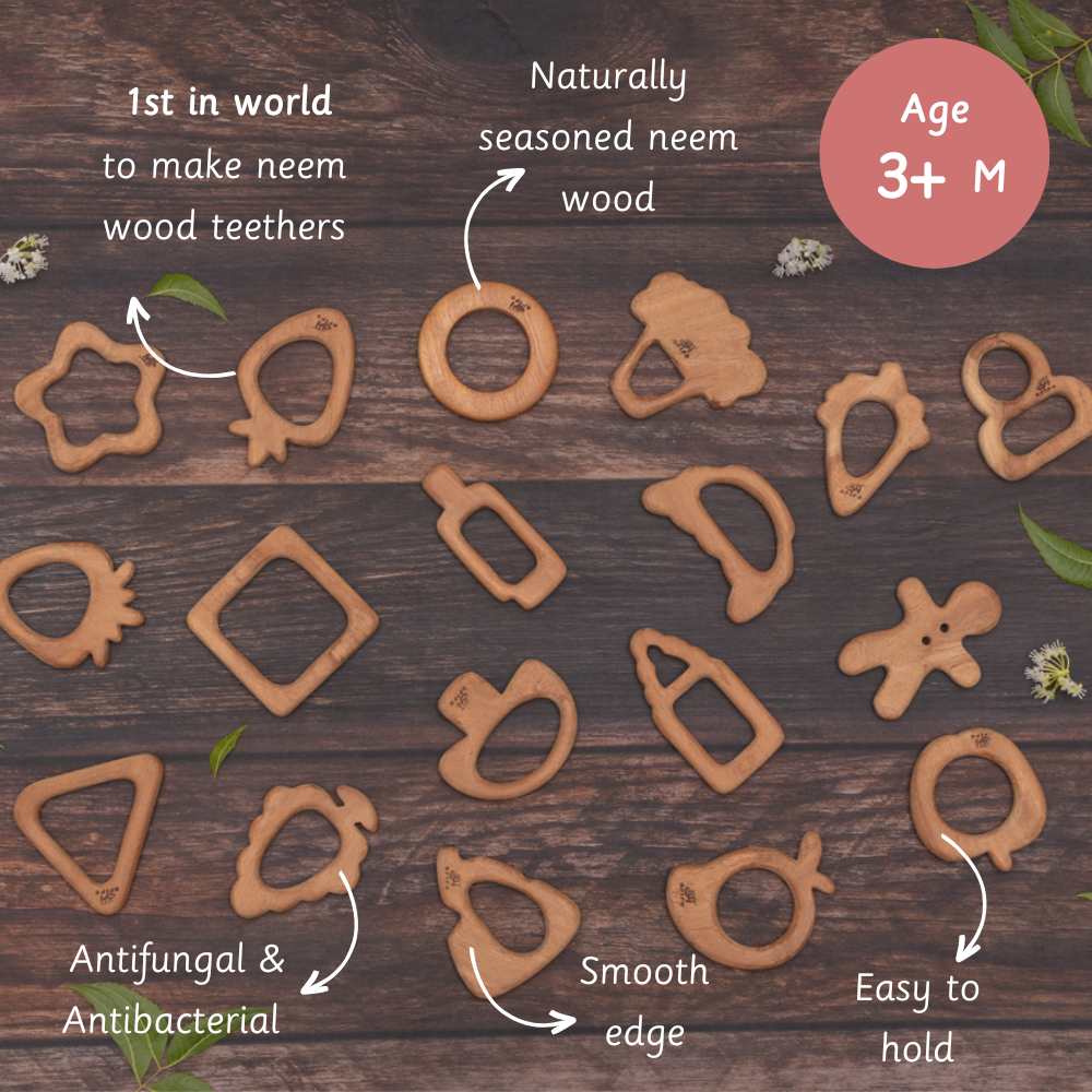 Wooden Teethers - Fruits