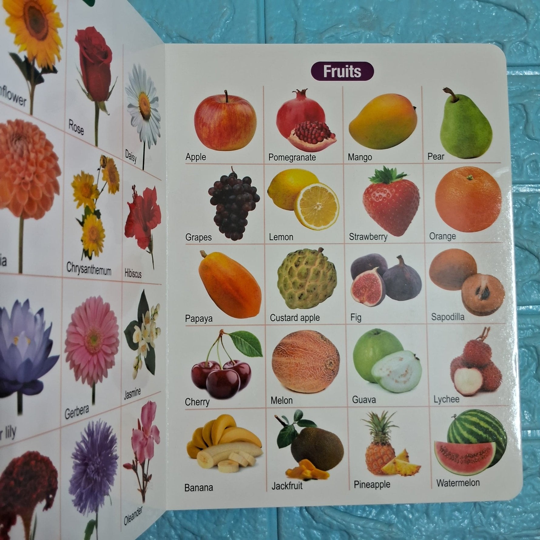 All in One Board Book