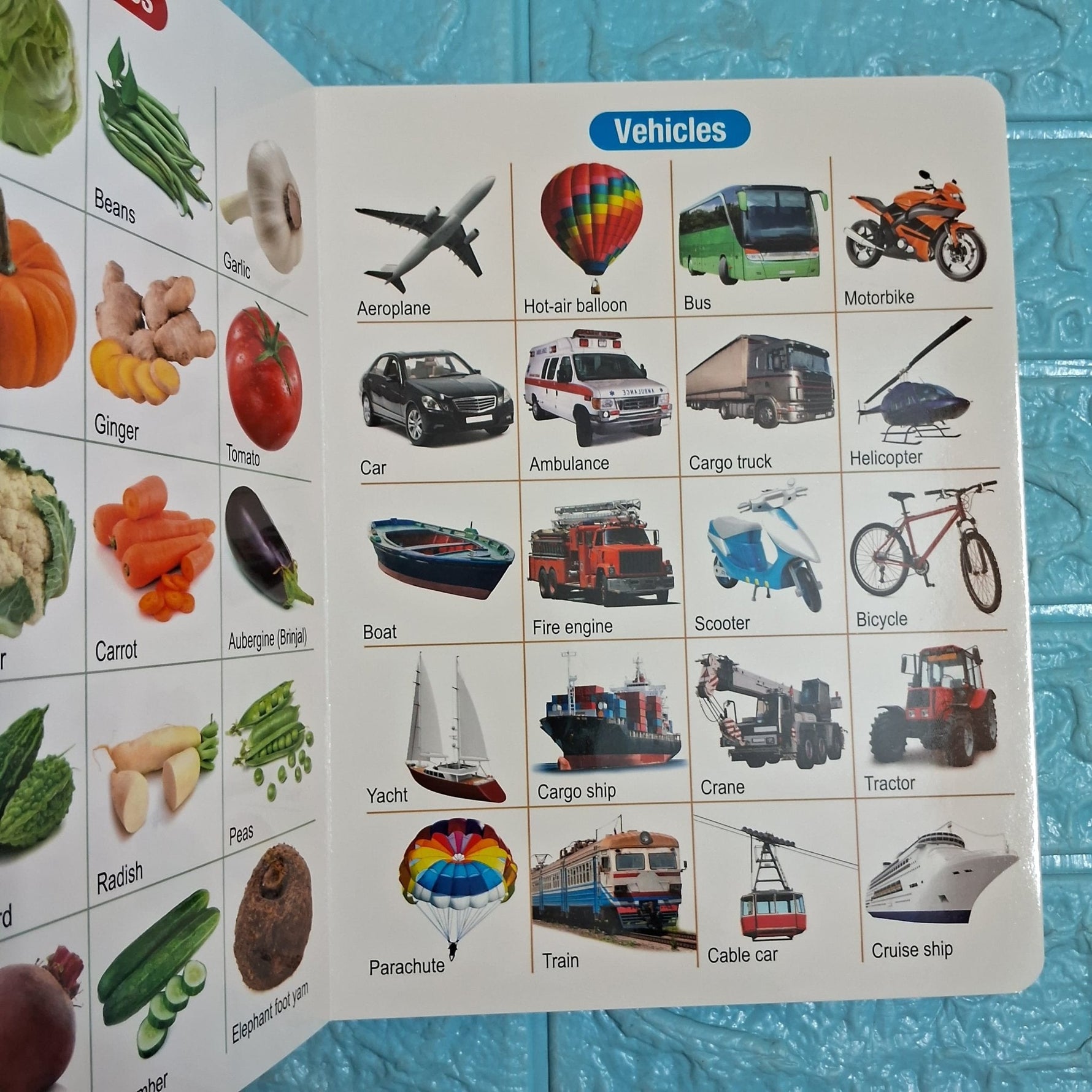All in One Board Book