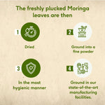 Moringa Powder, 100 g