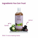 Karela Jamun Juice | Supports Metabolic Balance, Energy & Overall Wellness | 1 L