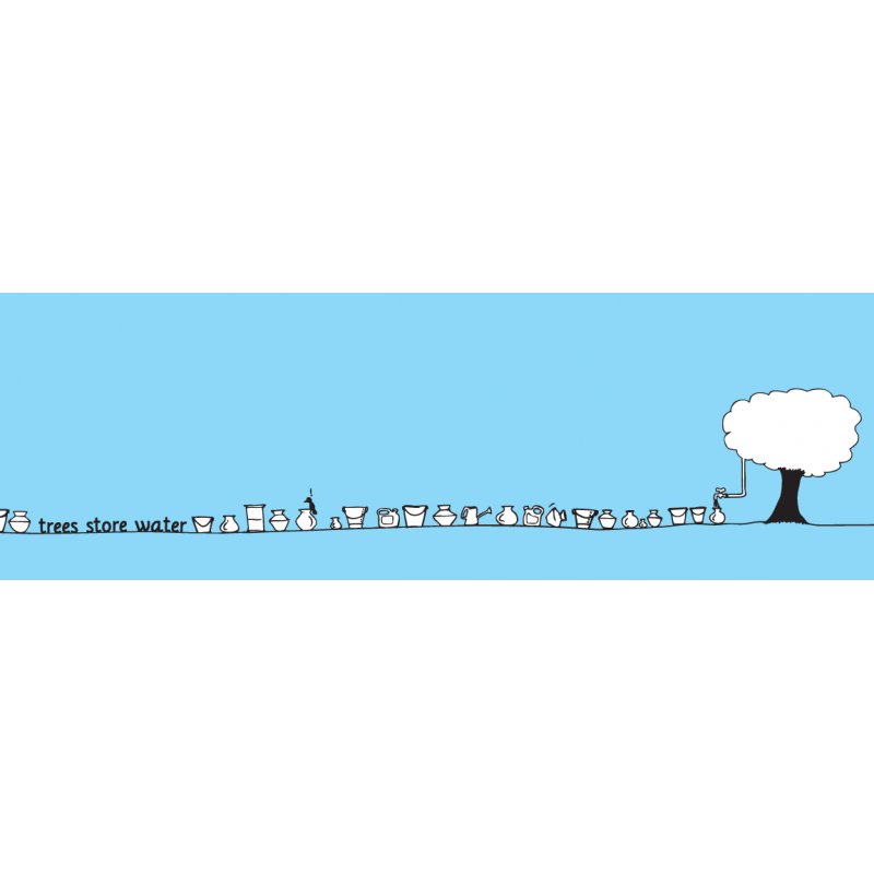 LETS PLANT TREES - ENGLISH