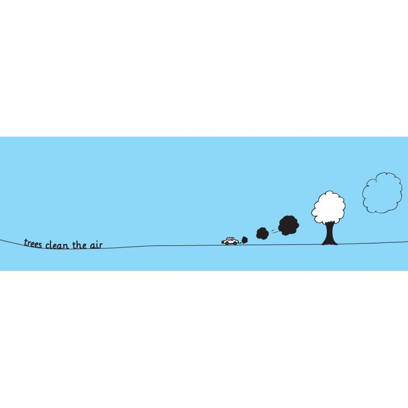 LETS PLANT TREES - ENGLISH