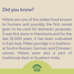 Millet Meal Replacement Shake
