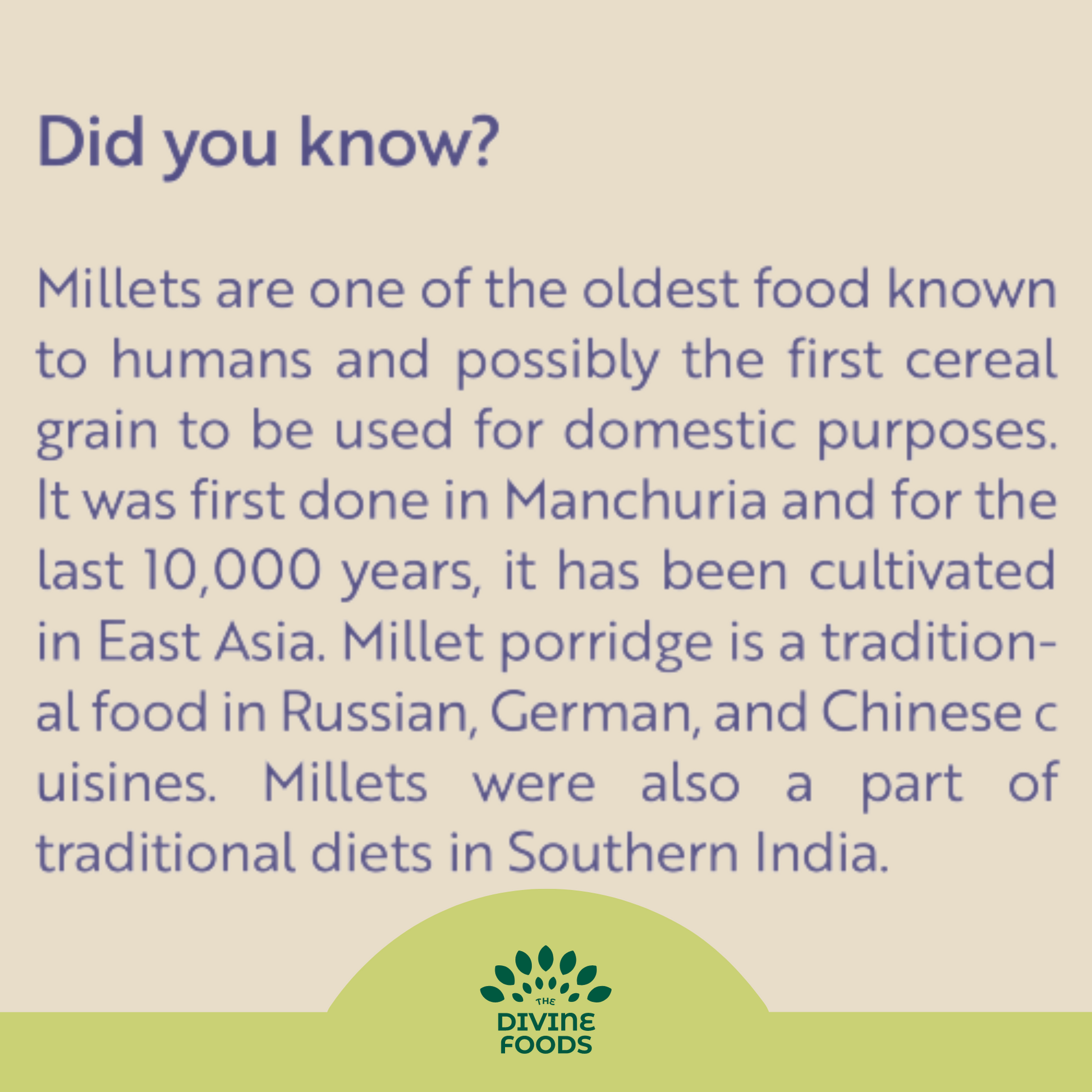 Millet Meal Replacement Shake