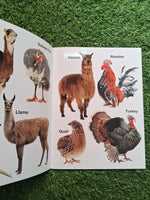My First Book of Animals and Birds - Large Paperback- Laminated