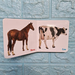 My Little Book of Domestic animals.