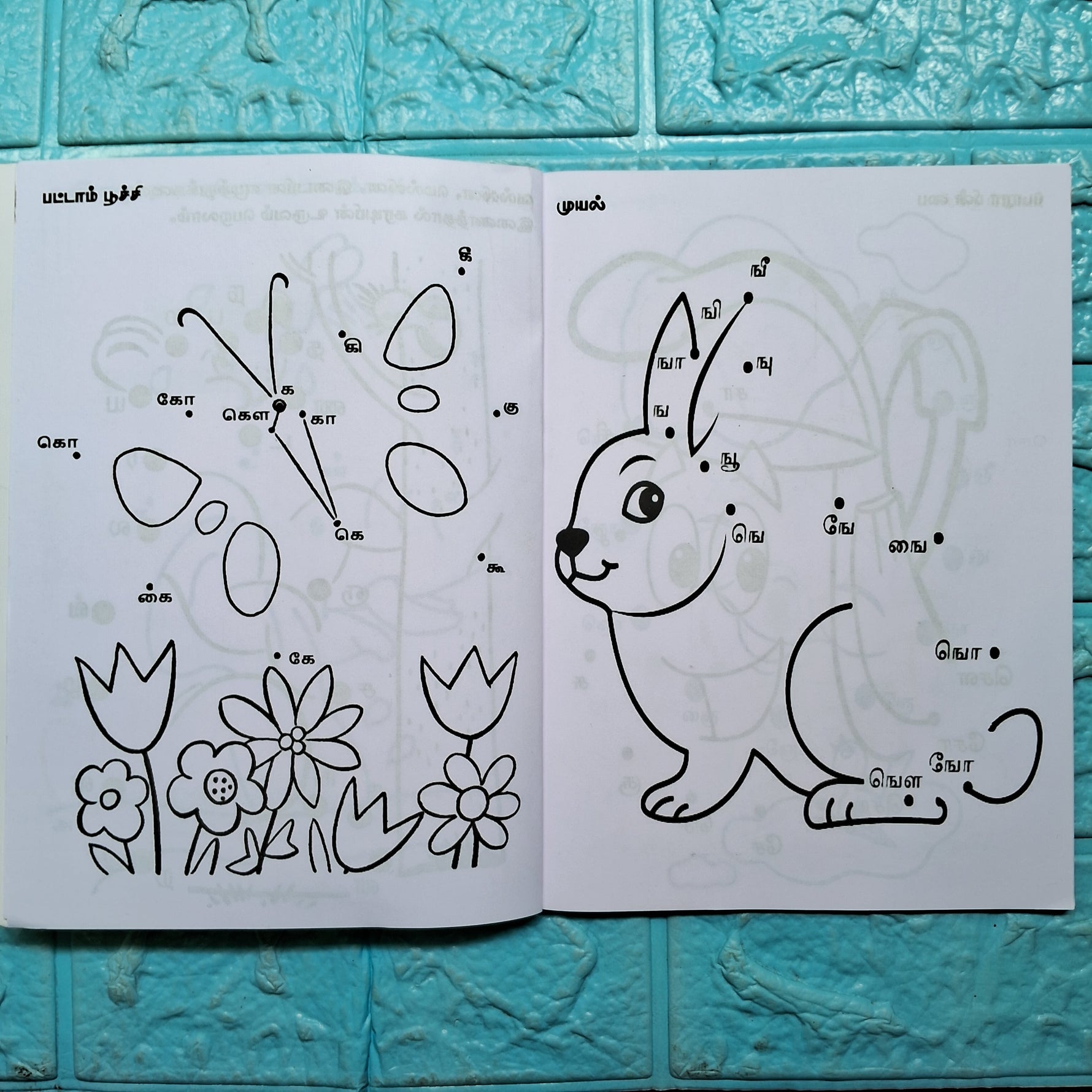 டாட் புக் - Dot Book