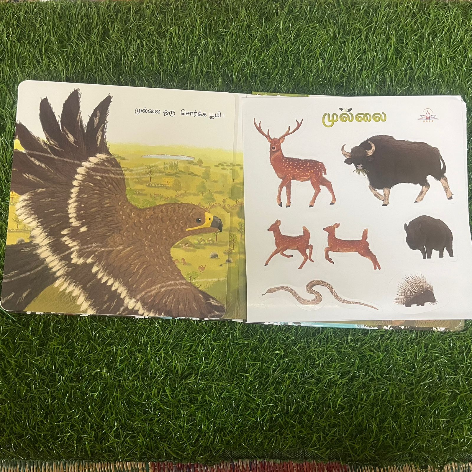 Mullai - Tamil Flap Book
