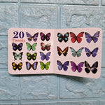 Numbers - Little Board Book