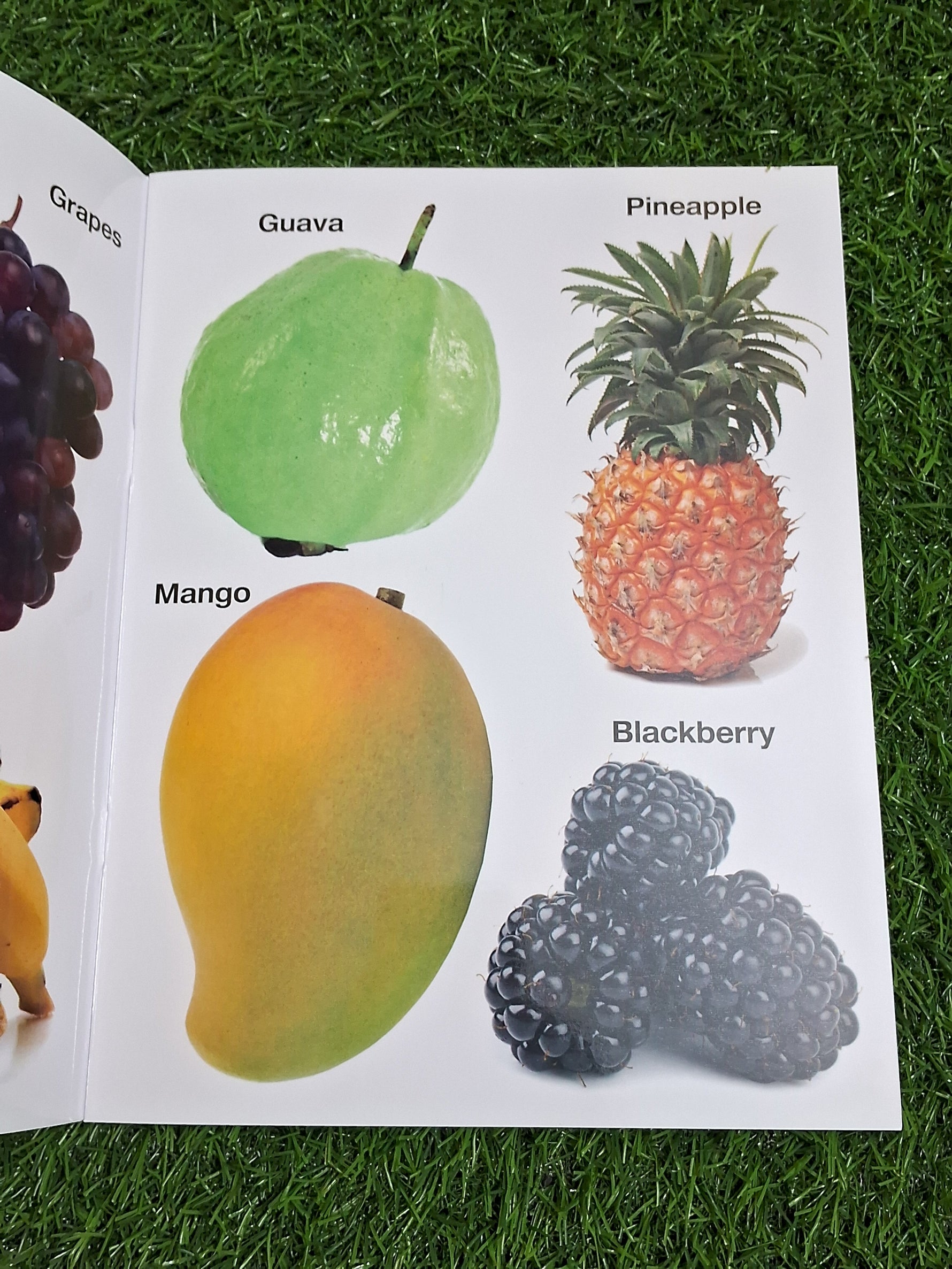 Fruits & Vegetables - Large Paperback- Real Images