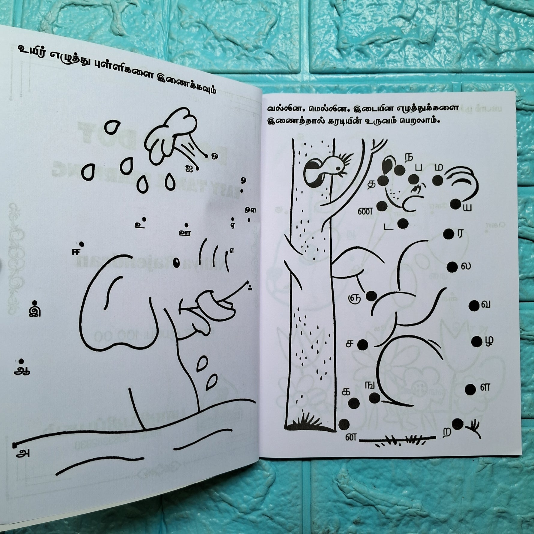 டாட் புக் - Dot Book